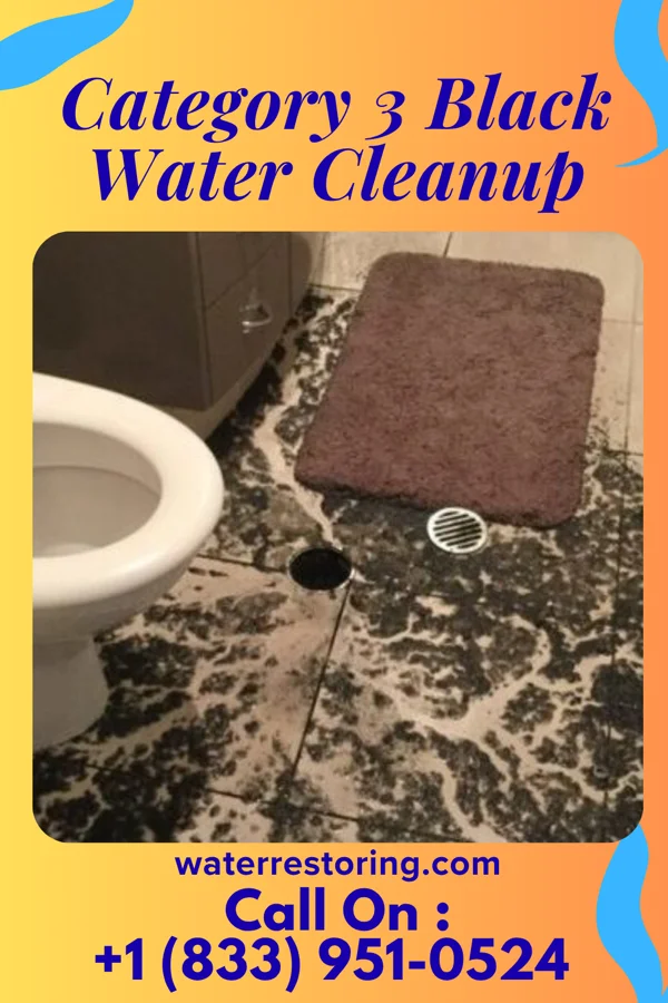 Category 3 Black Water Cleanup in Umapine, OR
